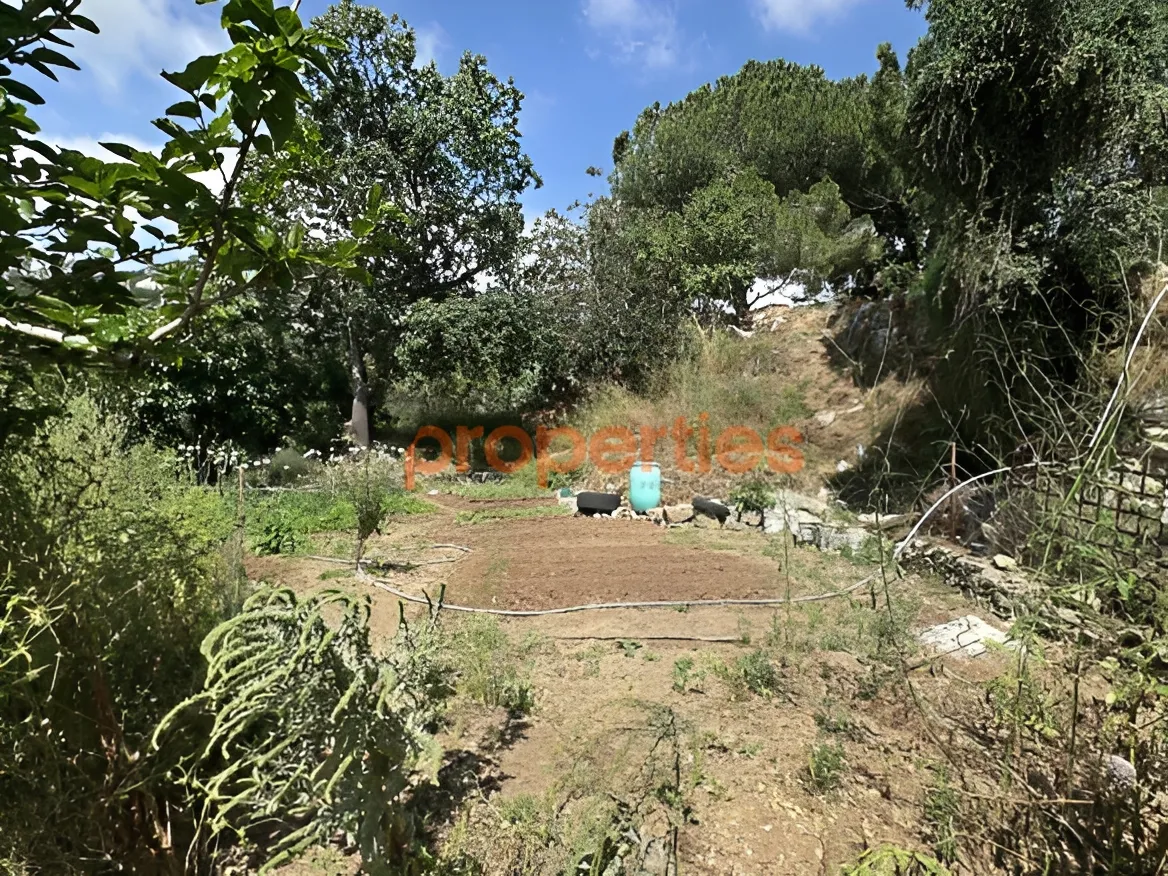 Residential Land for Sale in Ghazir