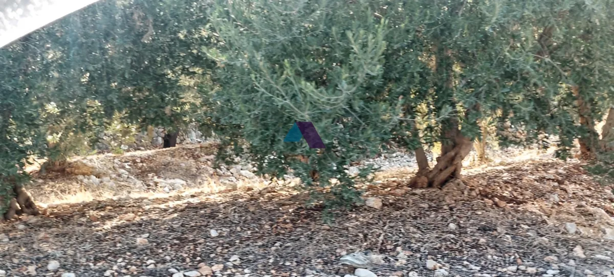 Land for Sale in Koura
