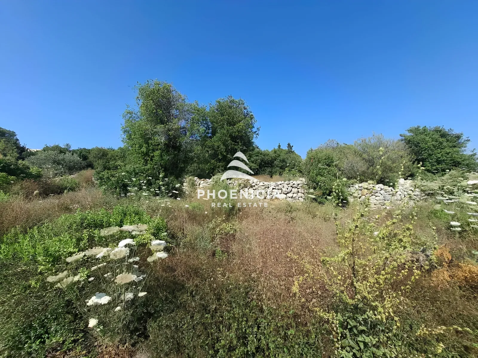 Residential Land for sale in Monsef, Jbeil, Lebanon