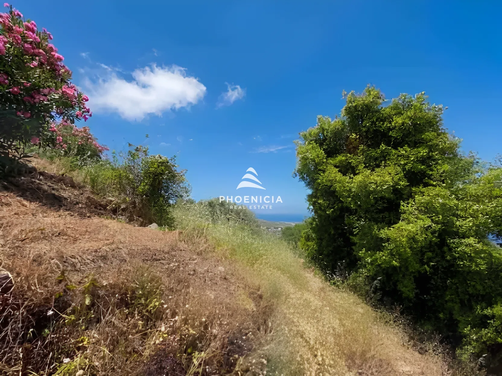 Residential Land for sale in Fghal, Lebanon