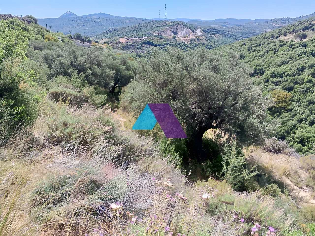 Land for Sale in Batroun