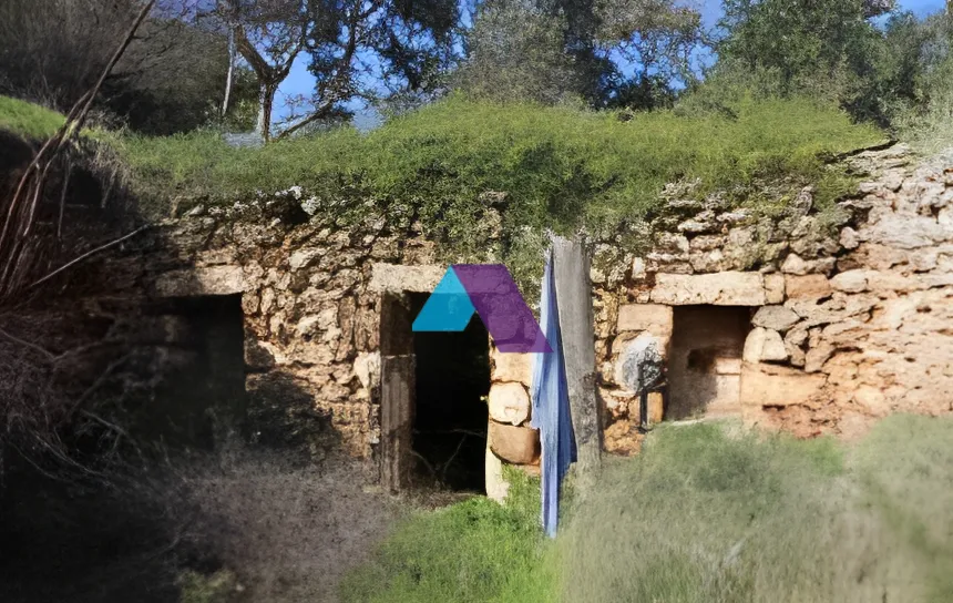Land for Sale in Batroun