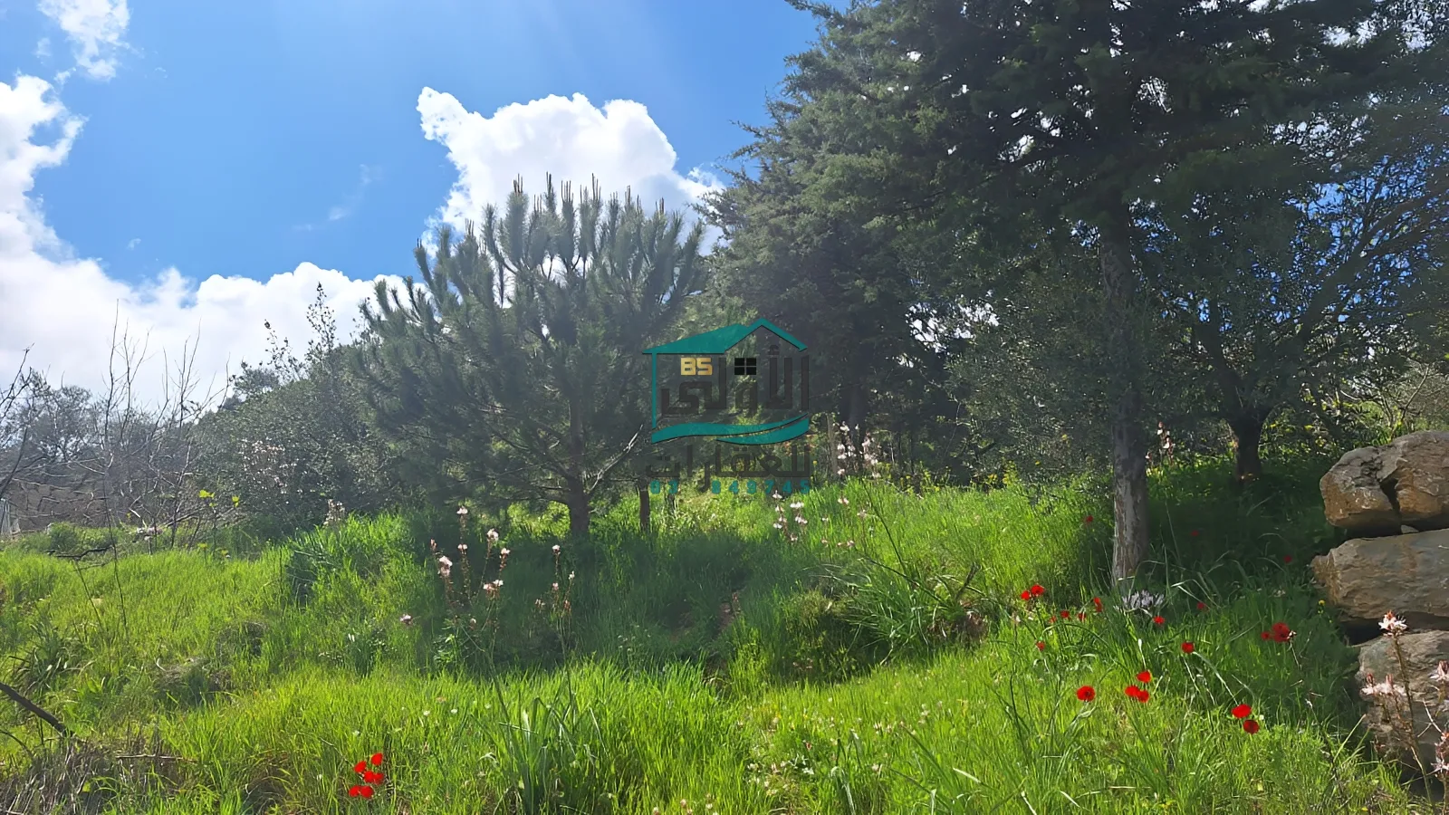 Land for sale in مزرعة الشوف، lebanon