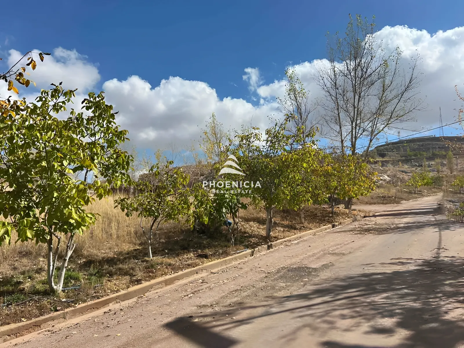 Land for Sale in Laqlouq