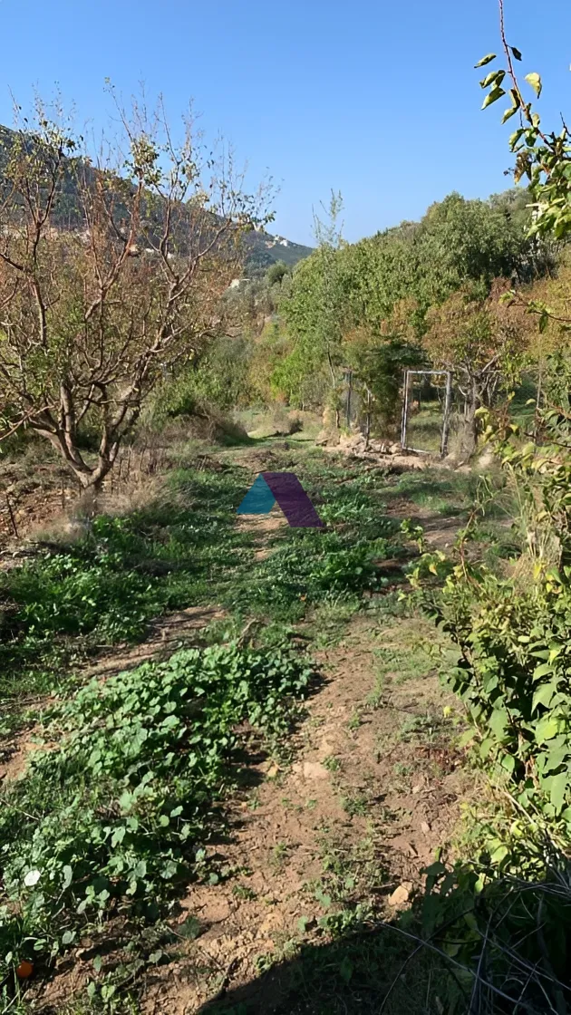 Land for Sale in Ehden