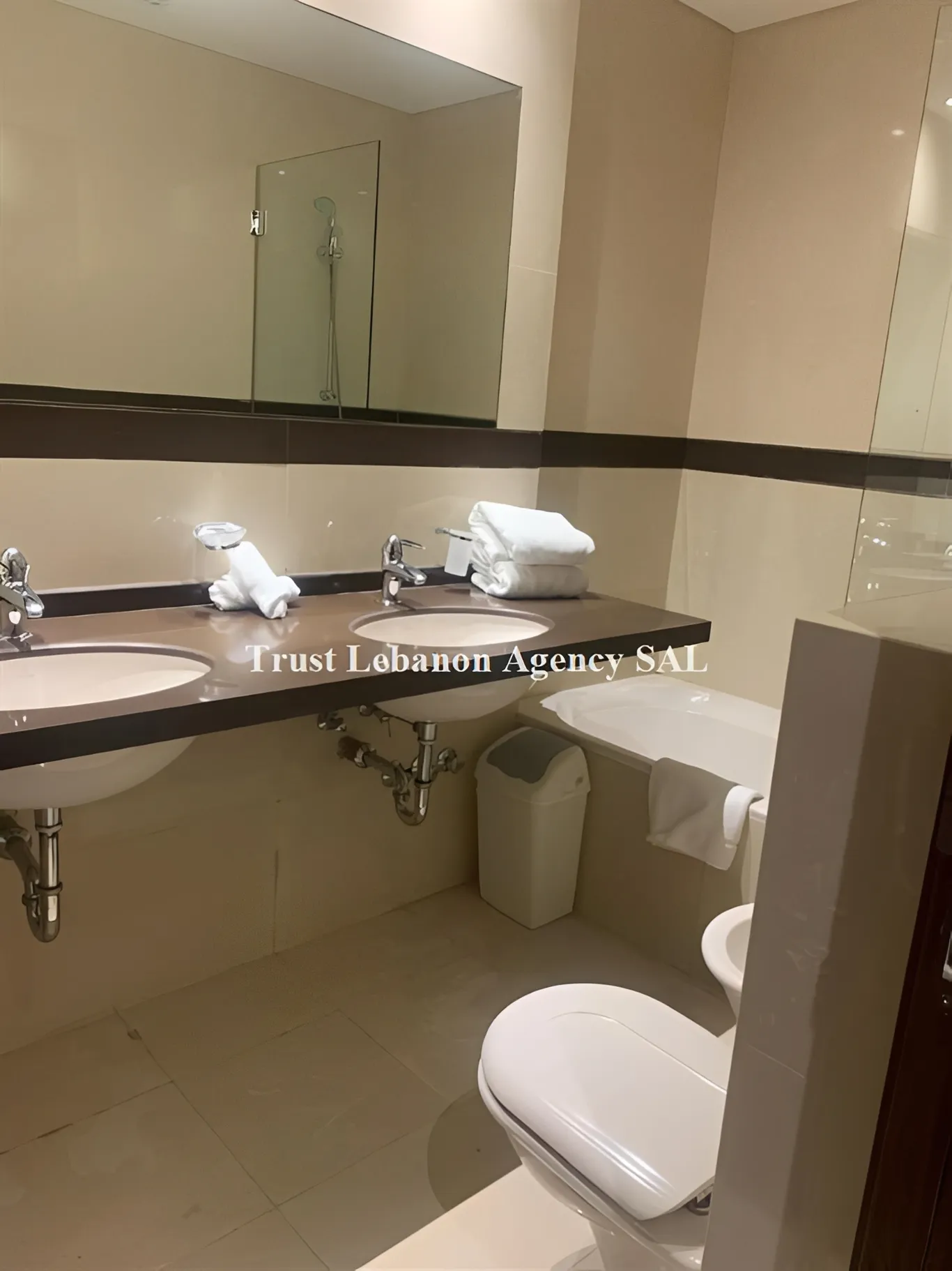 Apartment for Rent in Achrafieh Saifi
