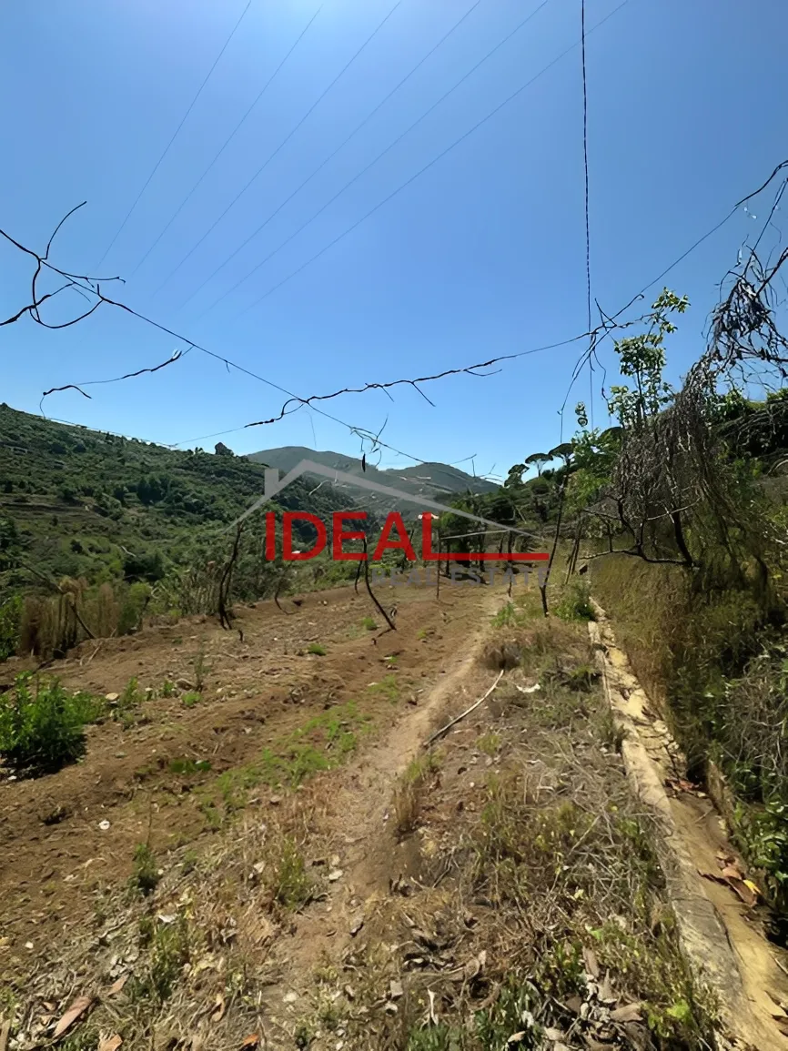 Land for Sale in Chouf, Lebanon