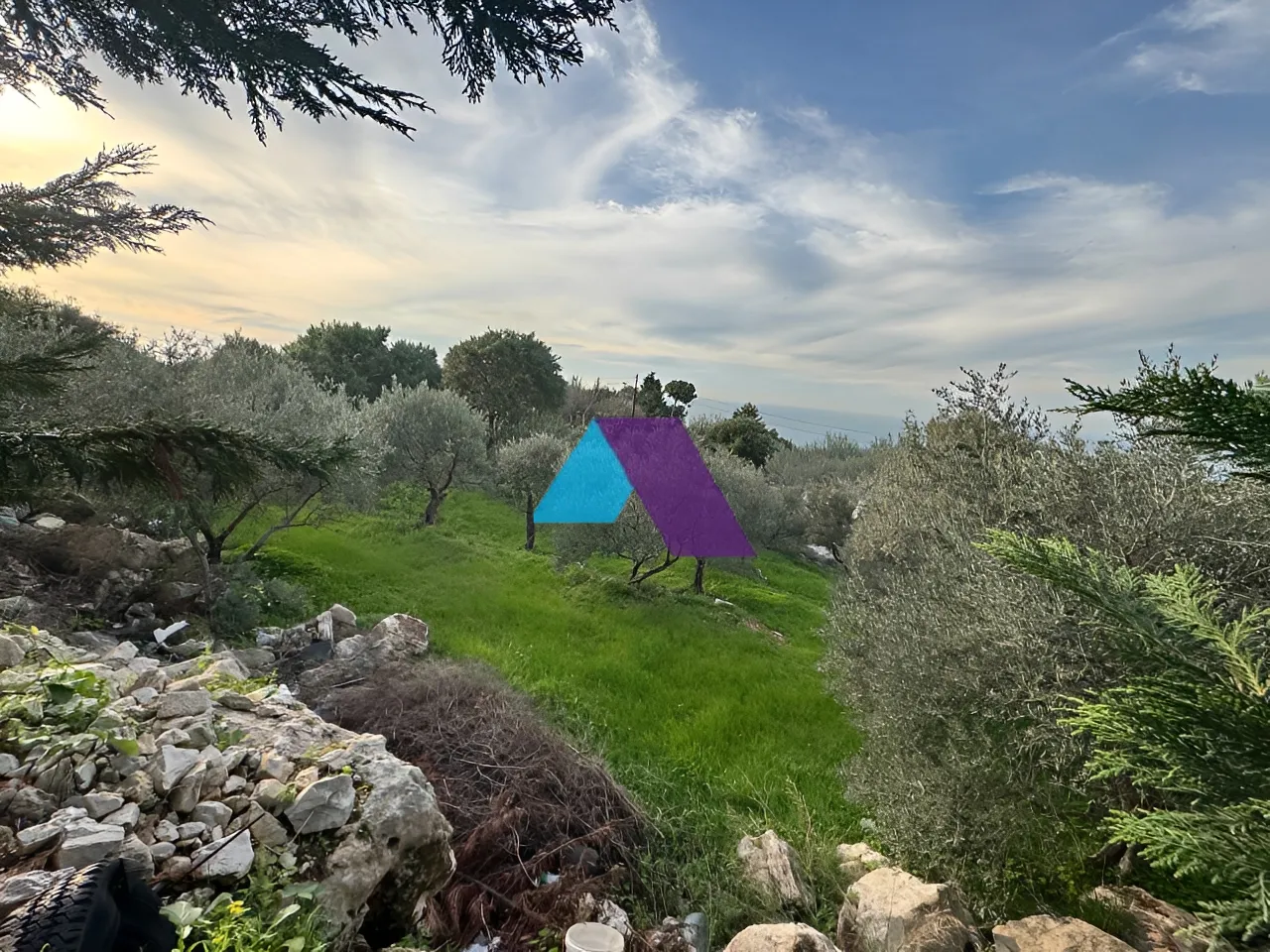 Land for Sale in Aamchit