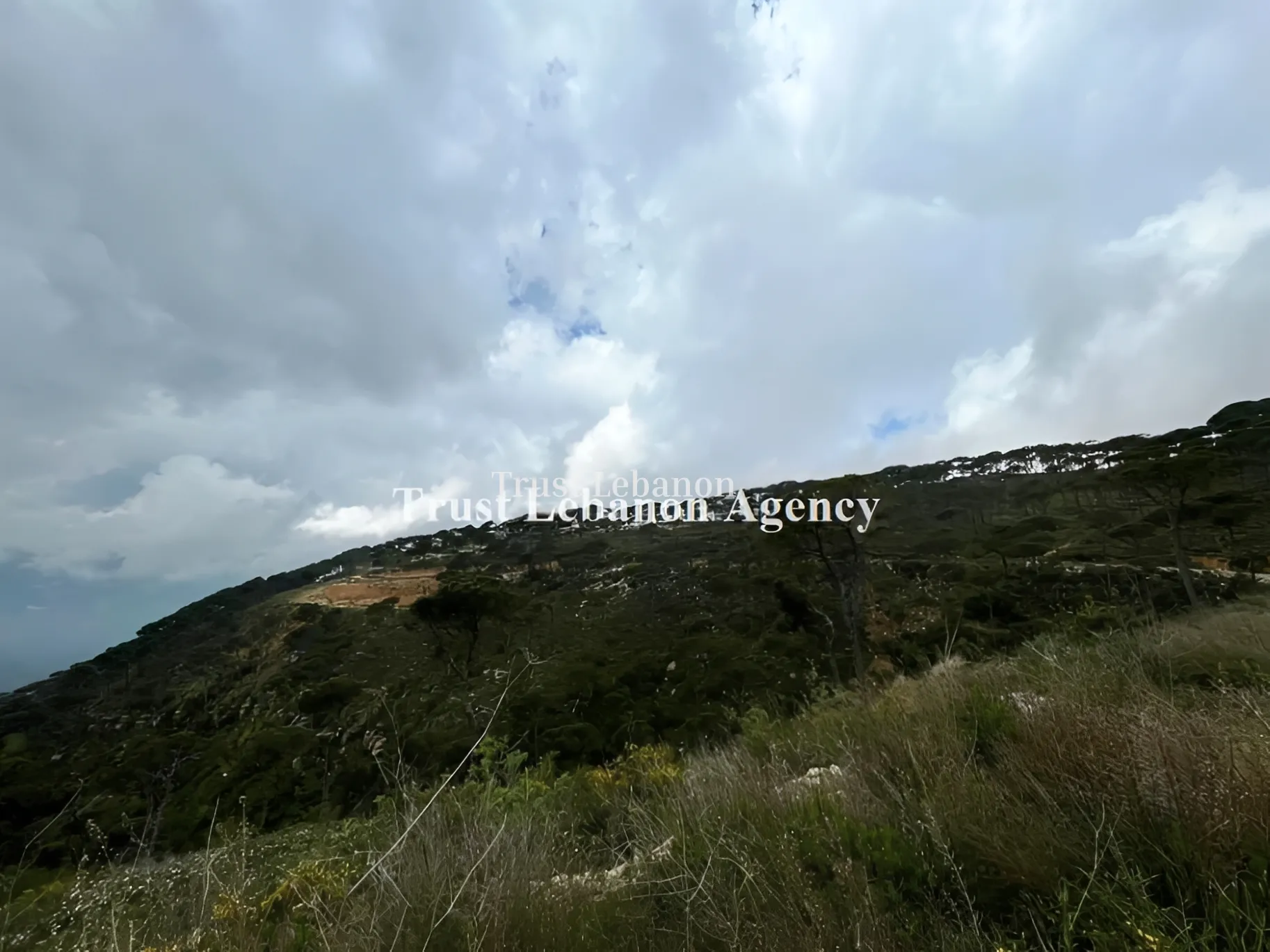 Land for sale in Qaaqour, Lebanon