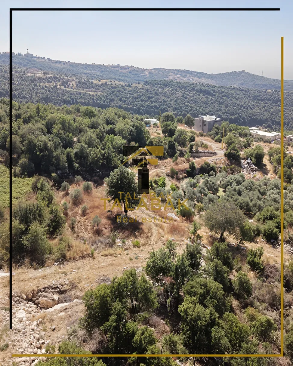 Residential Land for sale in Mechmech