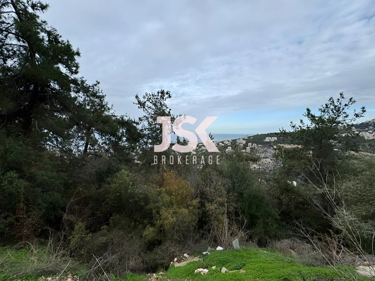 Land for Sale in Nabiyeh, Lebanon