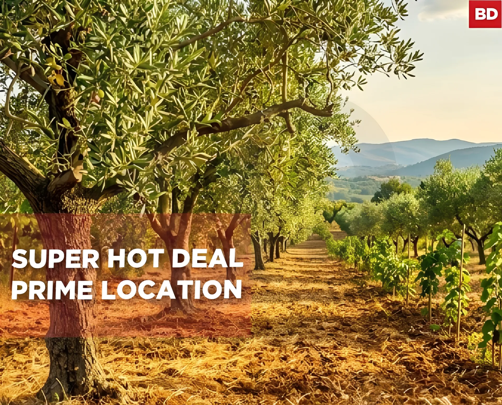 Land for Sale in Koura