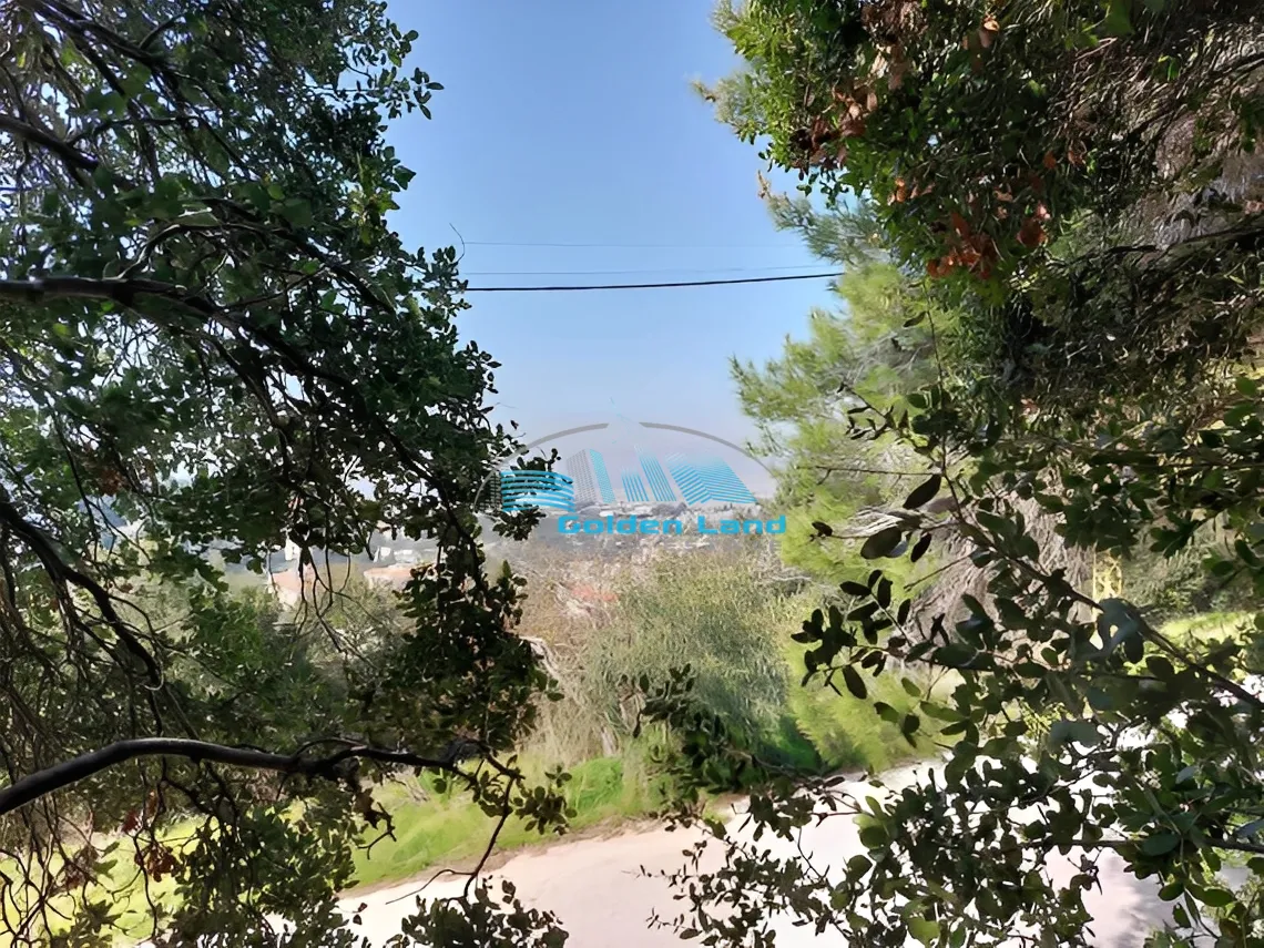 Land for Sale in Louaizeh, Lebanon