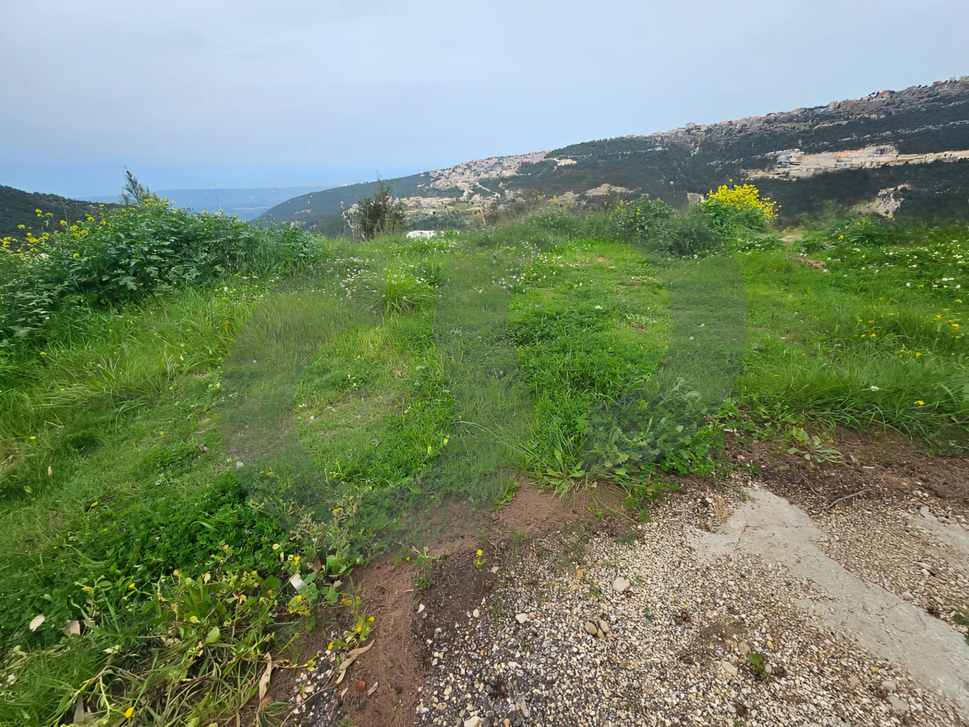 Land for Sale in Zgharta