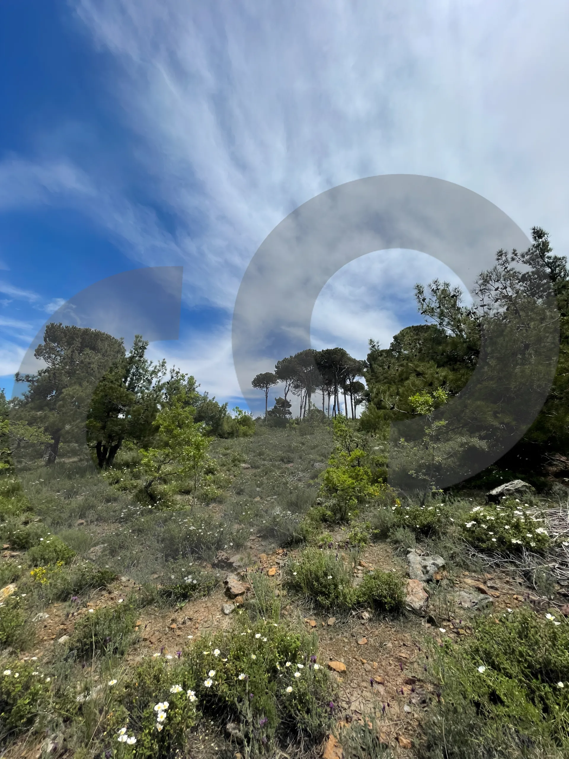 Land for Sale in Aley