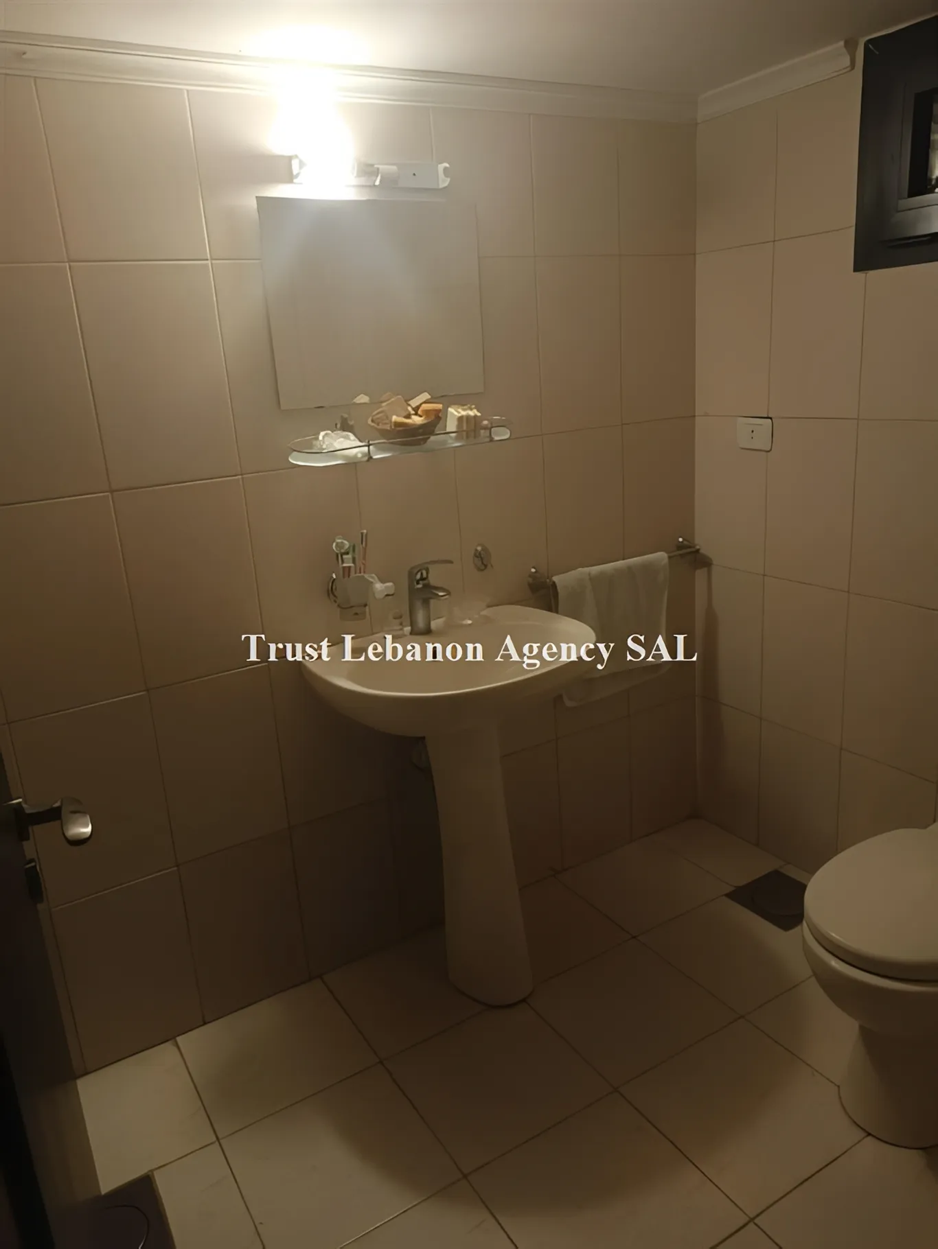 Apartment for Sale in Baabda Bleibel Lebanon