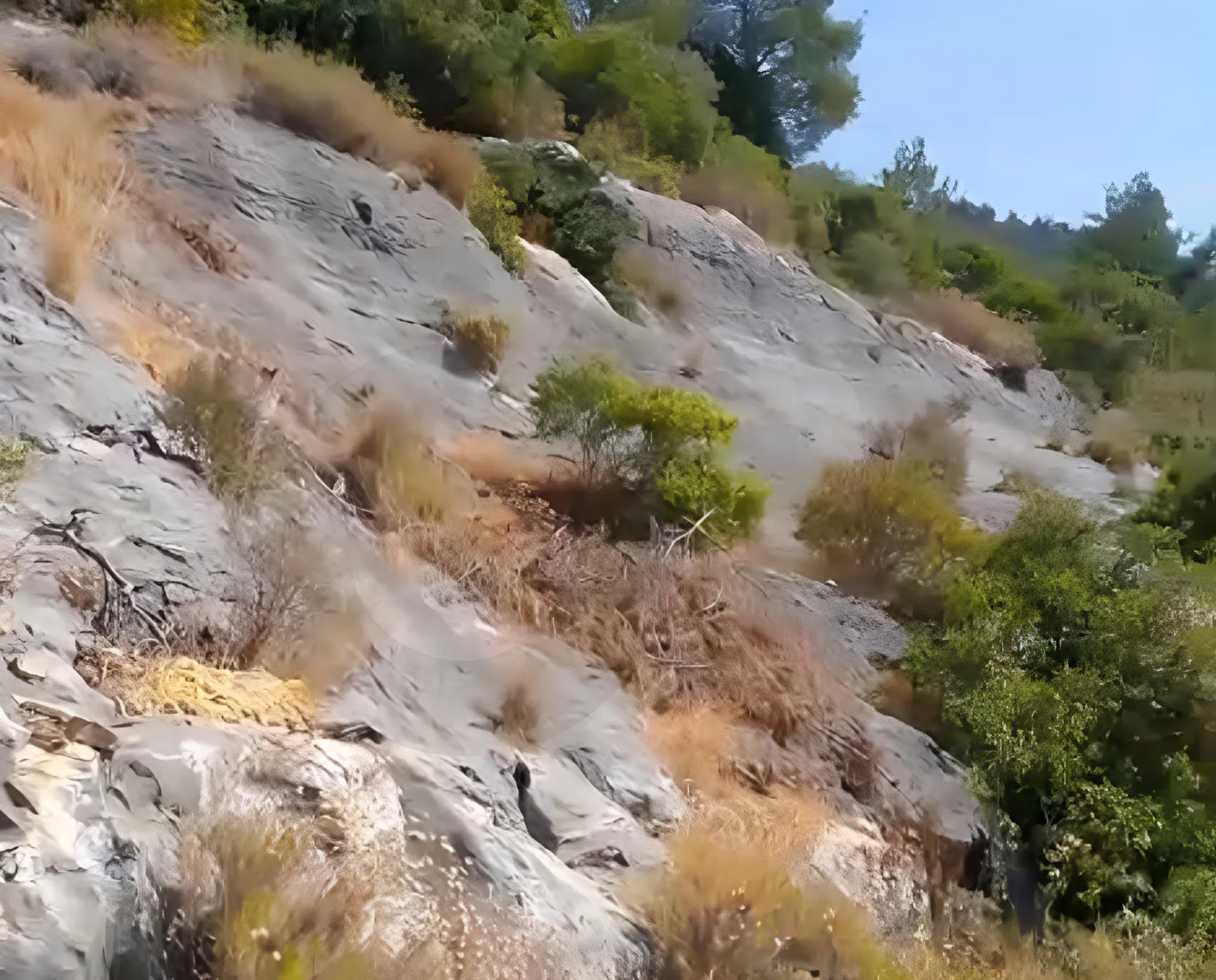 Land for Sale in Zgharta