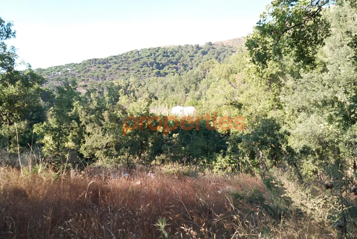 Land for Sale in Baskinta
