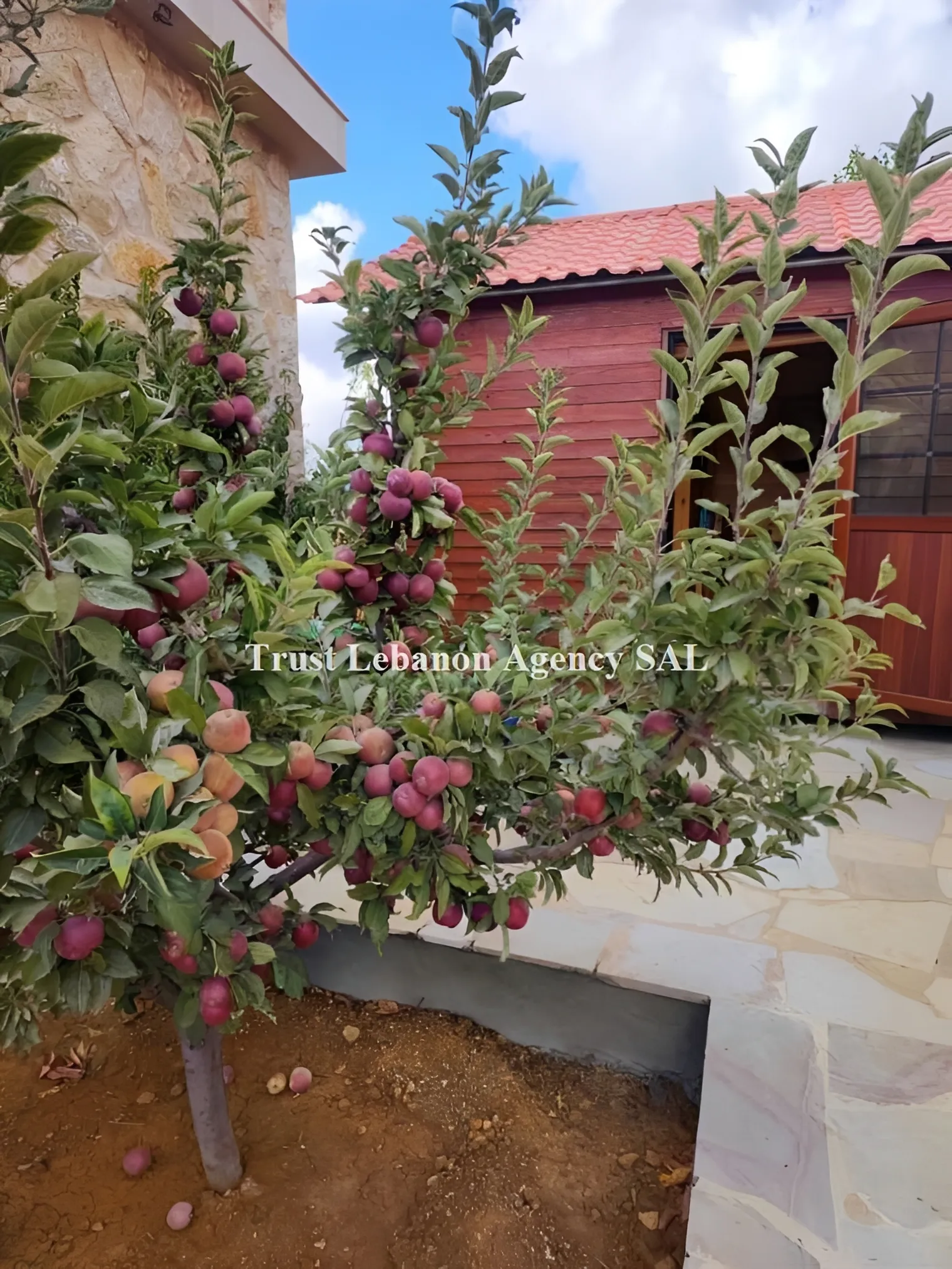 Apartment for Rent in Metn Jouret El Ballout Lebanon