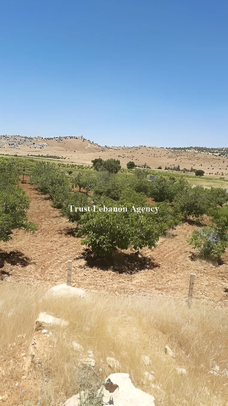 Land for Sale in Rashaya Rashaya