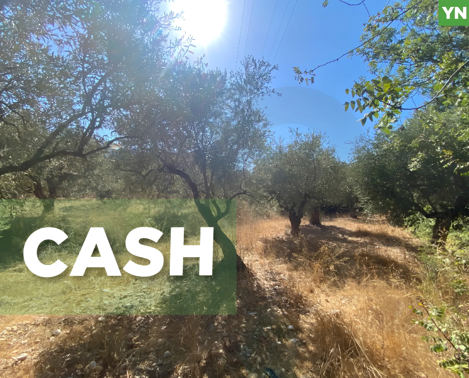 Land for Sale in Other