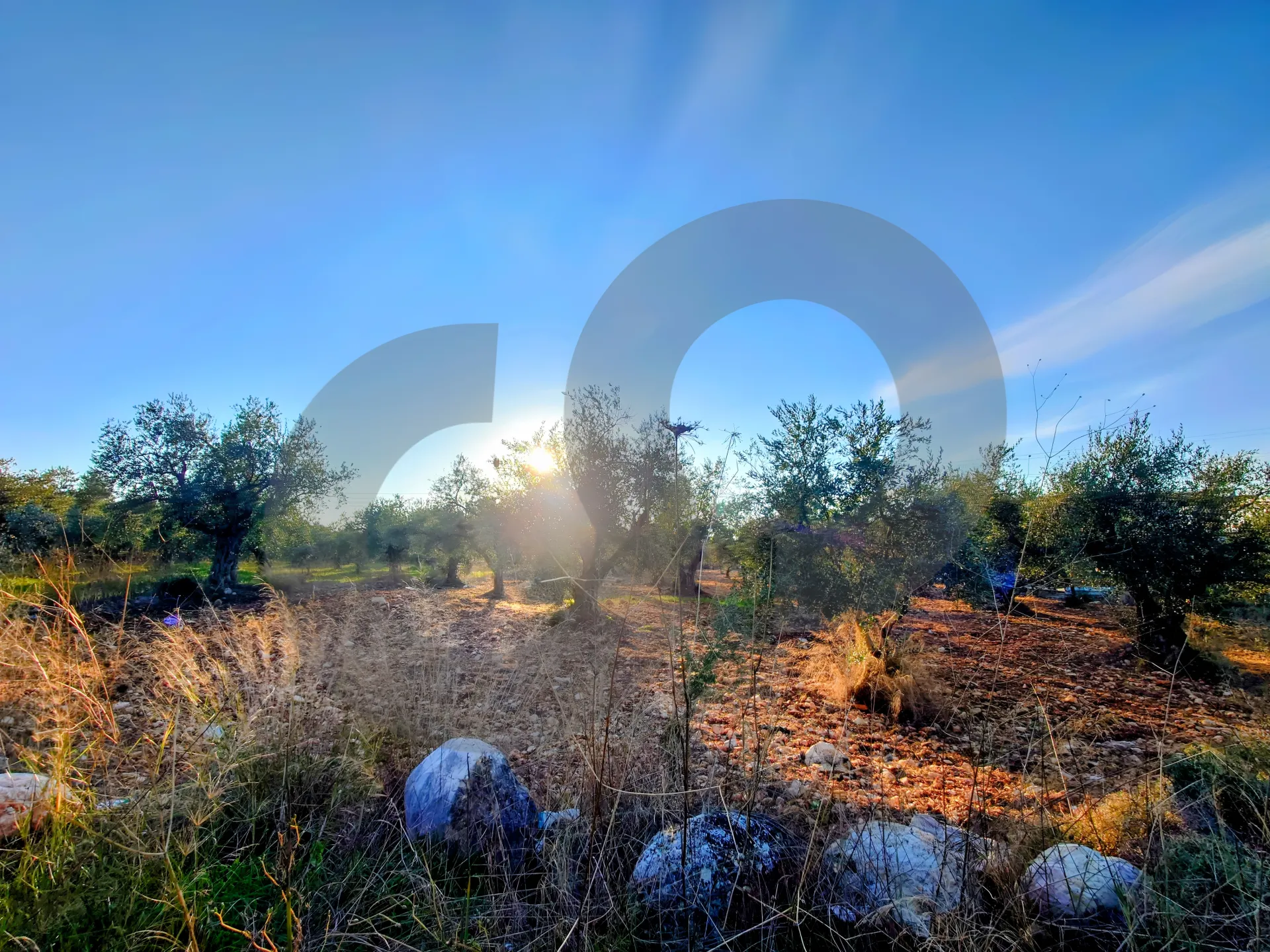 Land for Sale in Zgharta