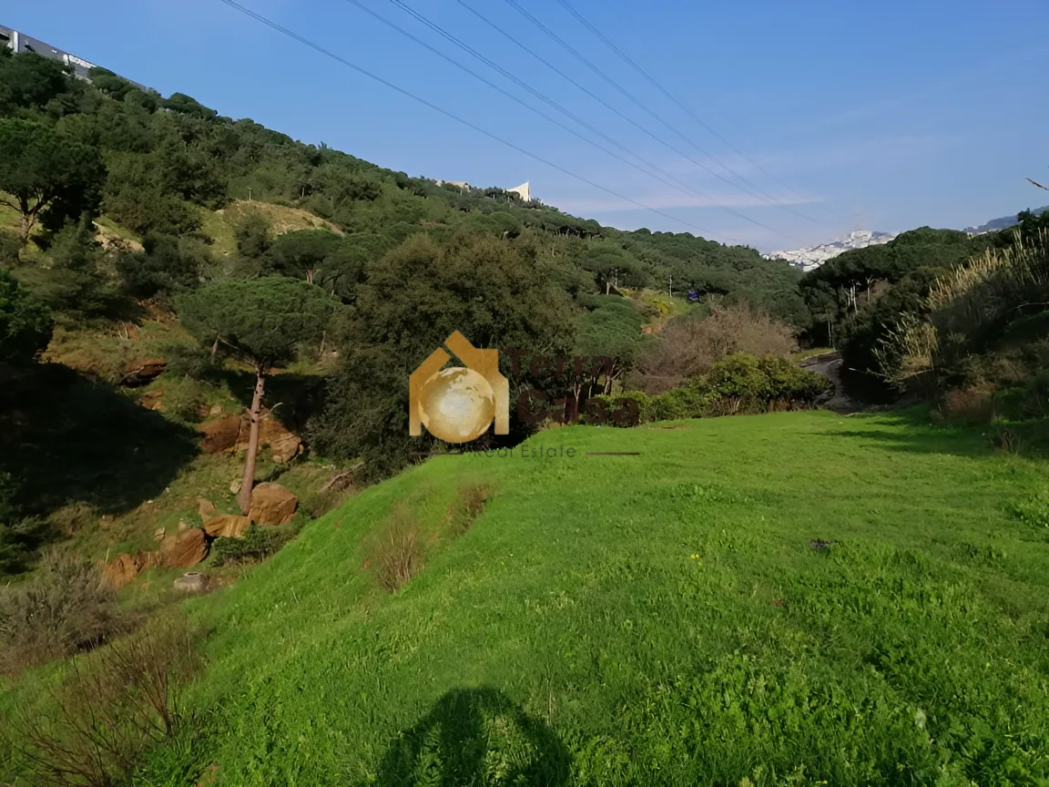 Land for sale in Mansourieh Two Plots, Lebanon
