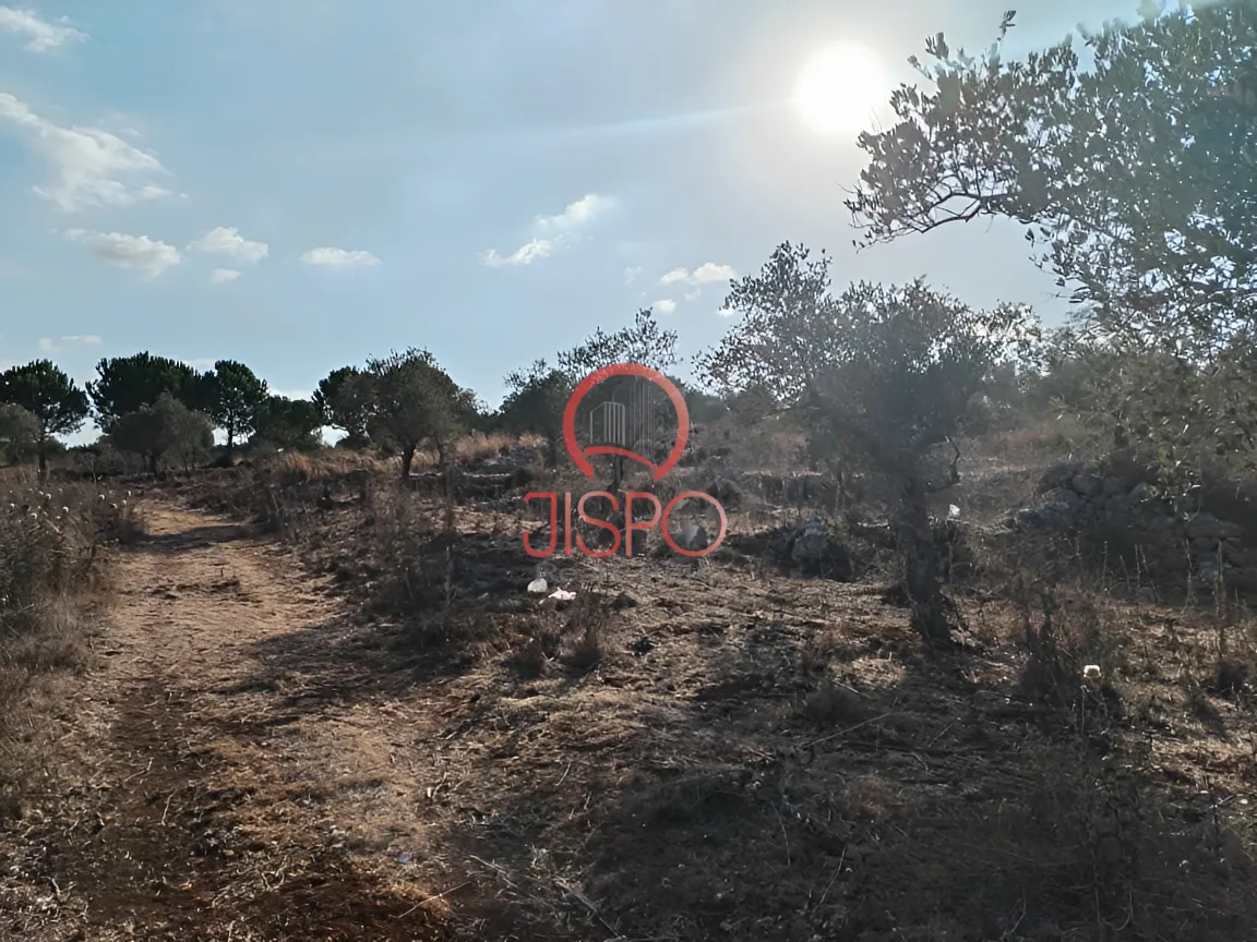Land for Sale in Bechmizzine