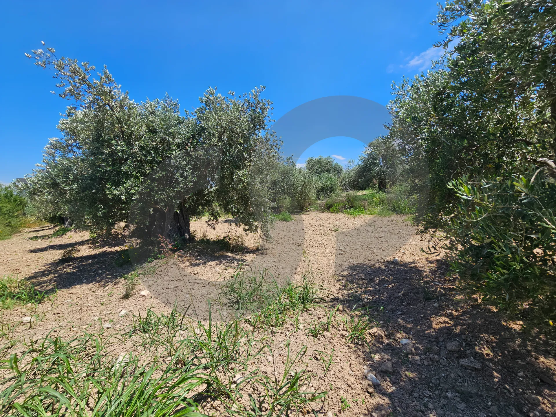 Land for Sale in Zgharta