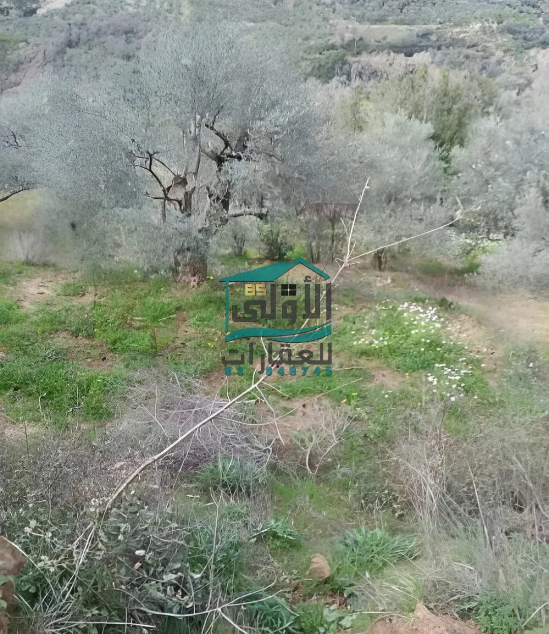 Land in راشيَا، lebanon