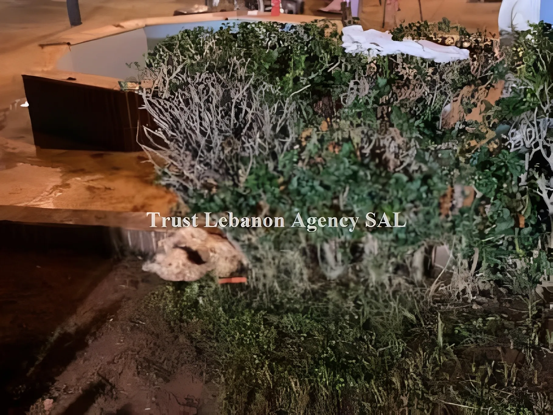 Villa for Sale in Chouf Werdeneyeh Lebanon