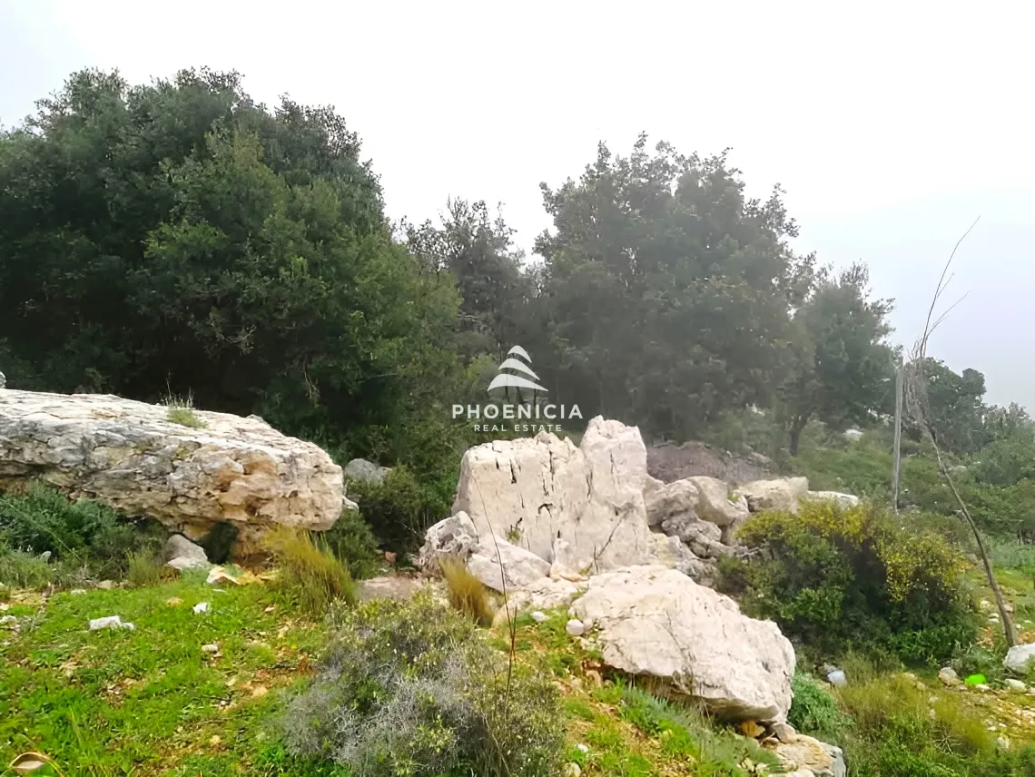 Land for Sale in Blat
