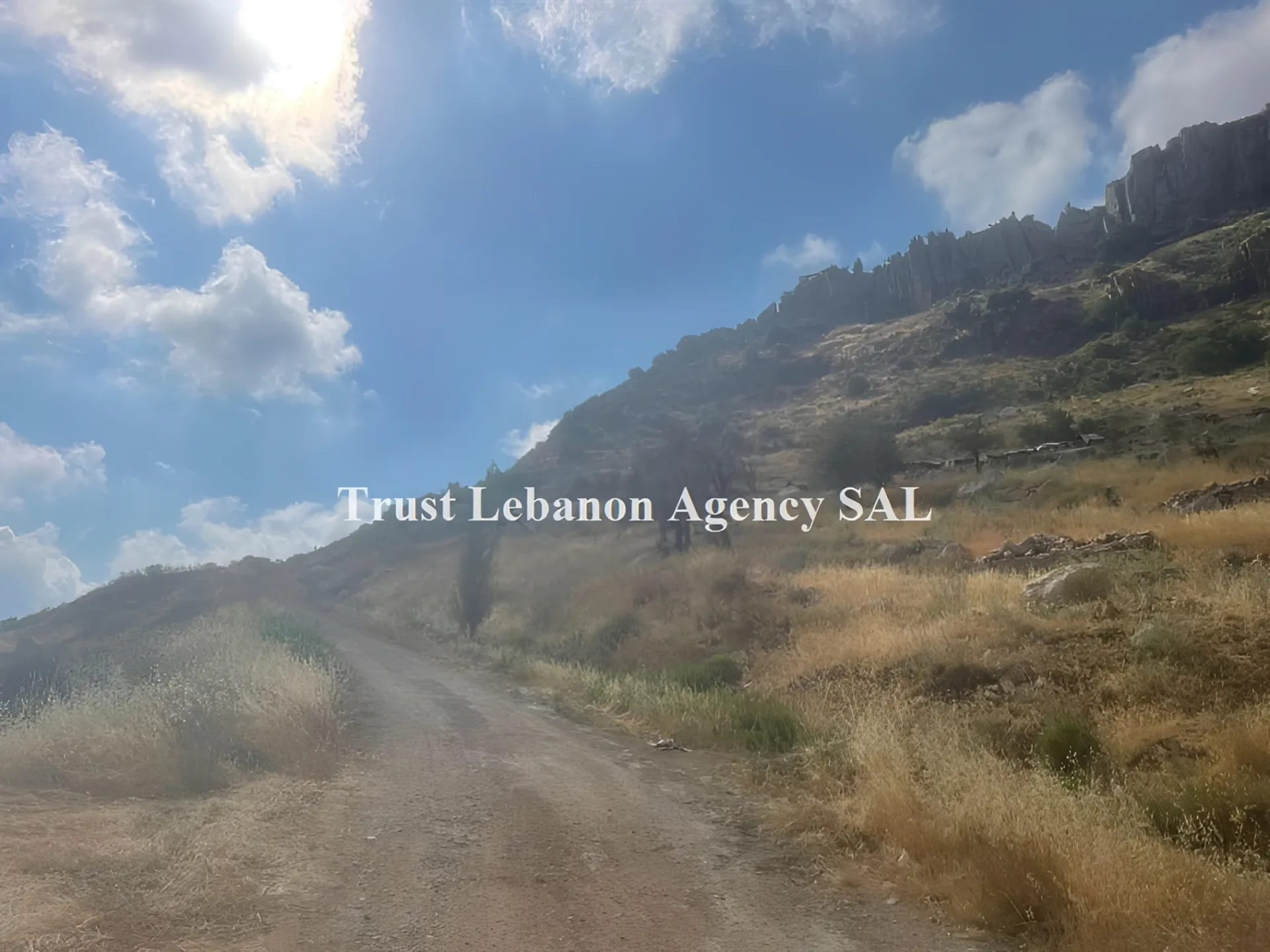 Land for Rent in Keserwan Faraya Lebanon