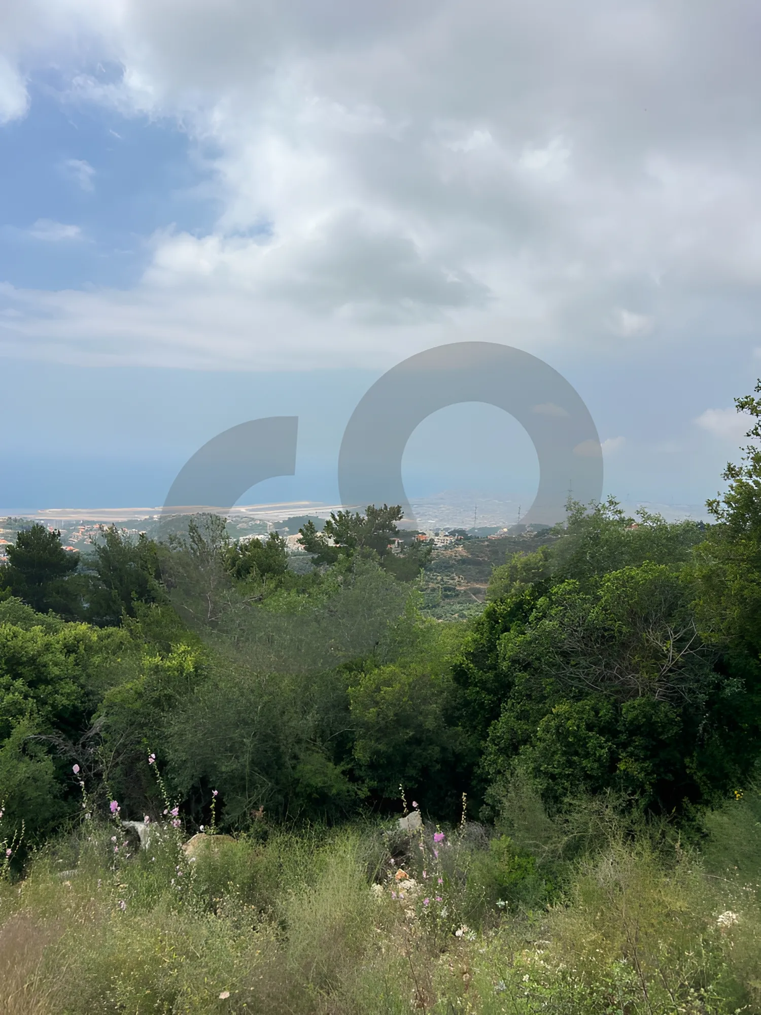 Land for Sale in Ainab