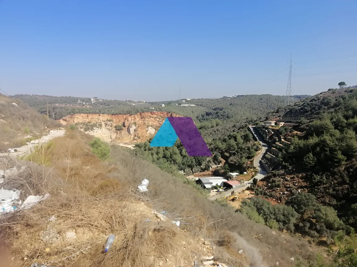 Land for Sale in Dibbiyeh