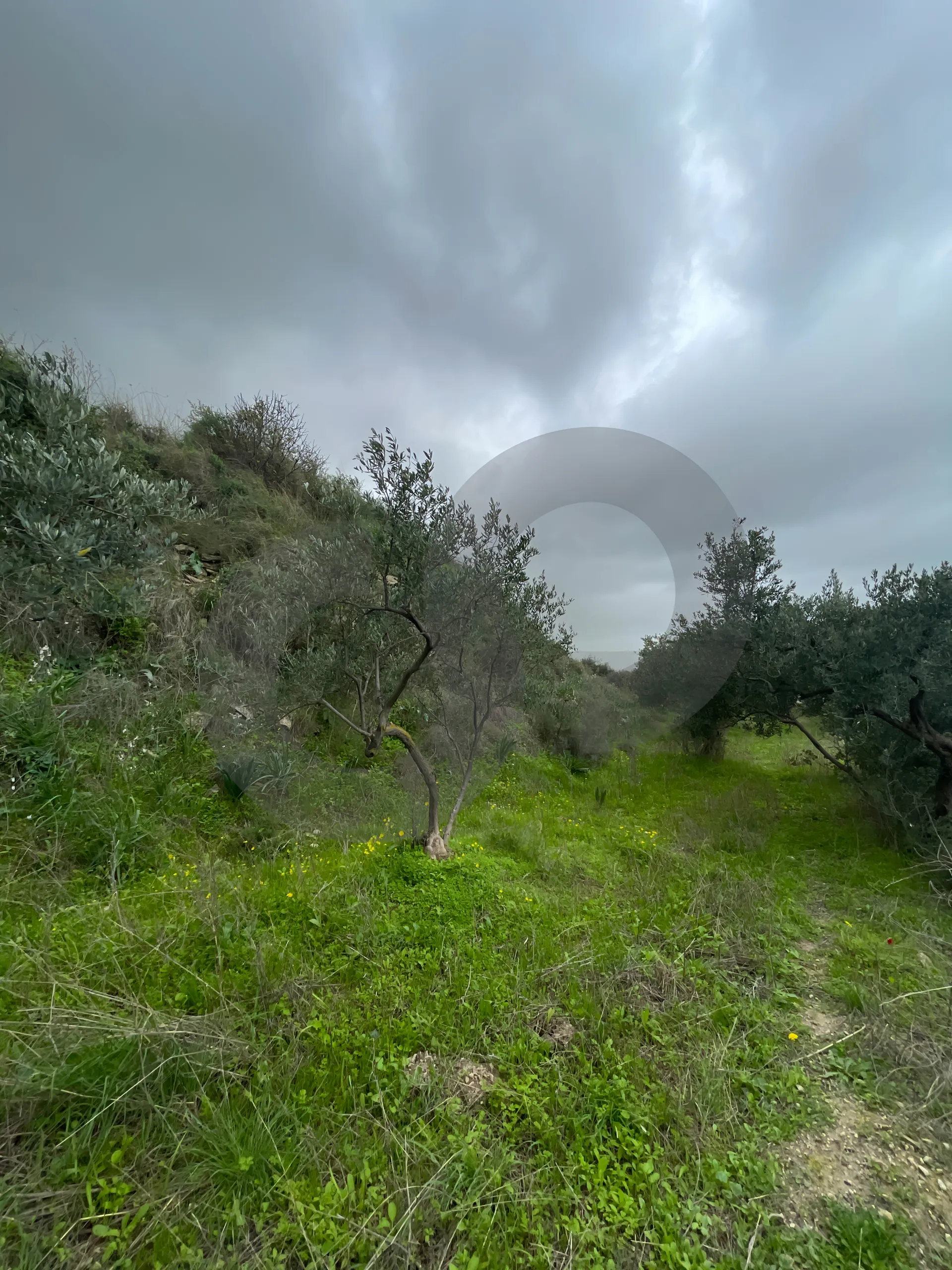 Land for Sale in Chekka