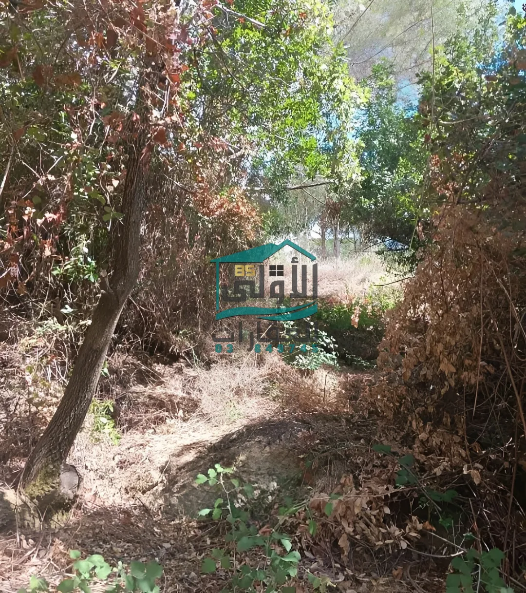 Land in نبع الصفا، lebanon