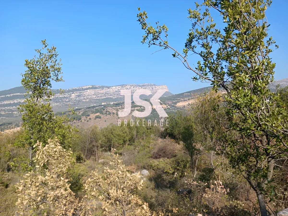 Land for Sale in Douma, Lebanon