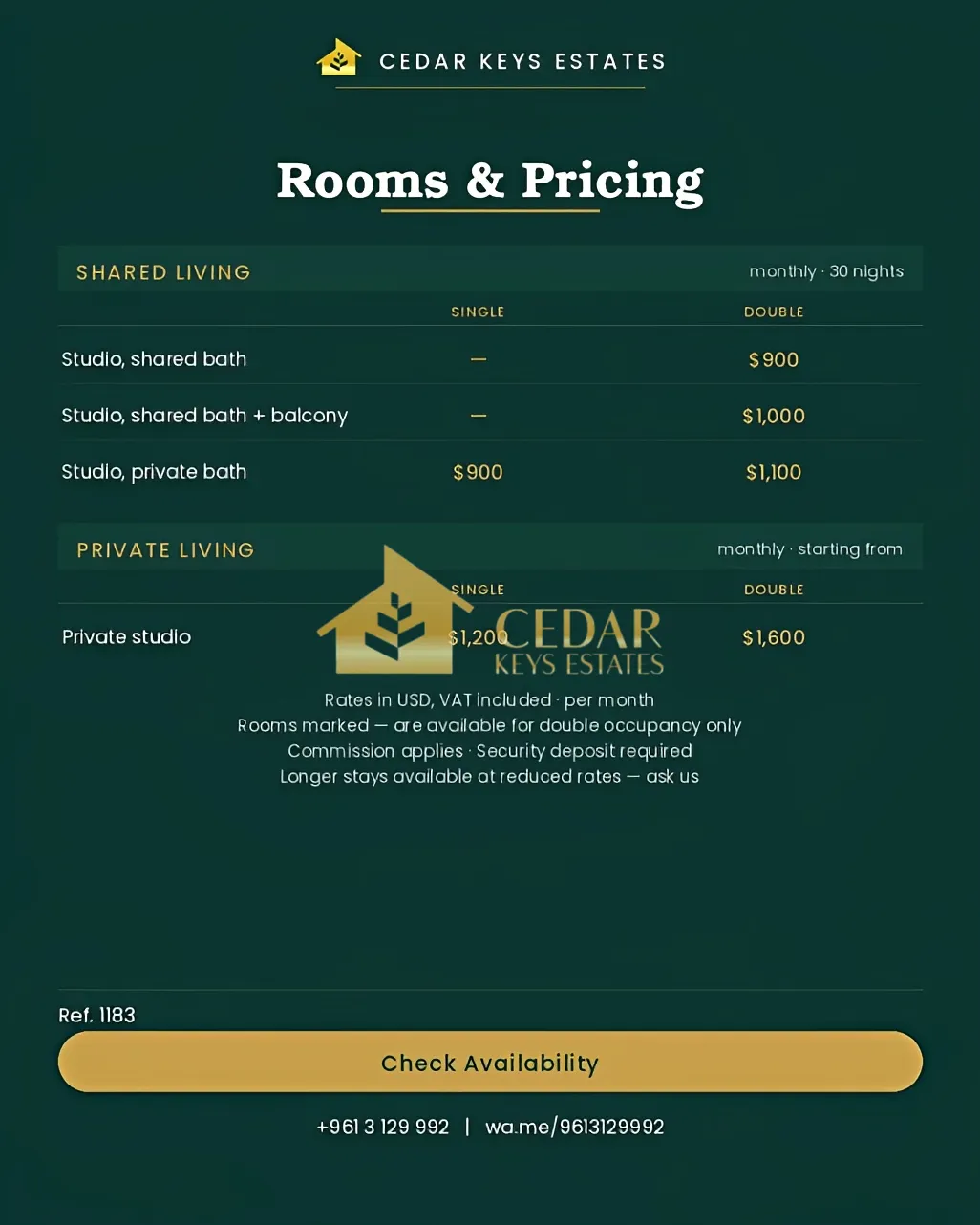 Studio for rent in Hamra, Beirut, Lebanon