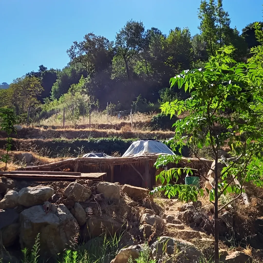 Land for sale in Brih, lebanon