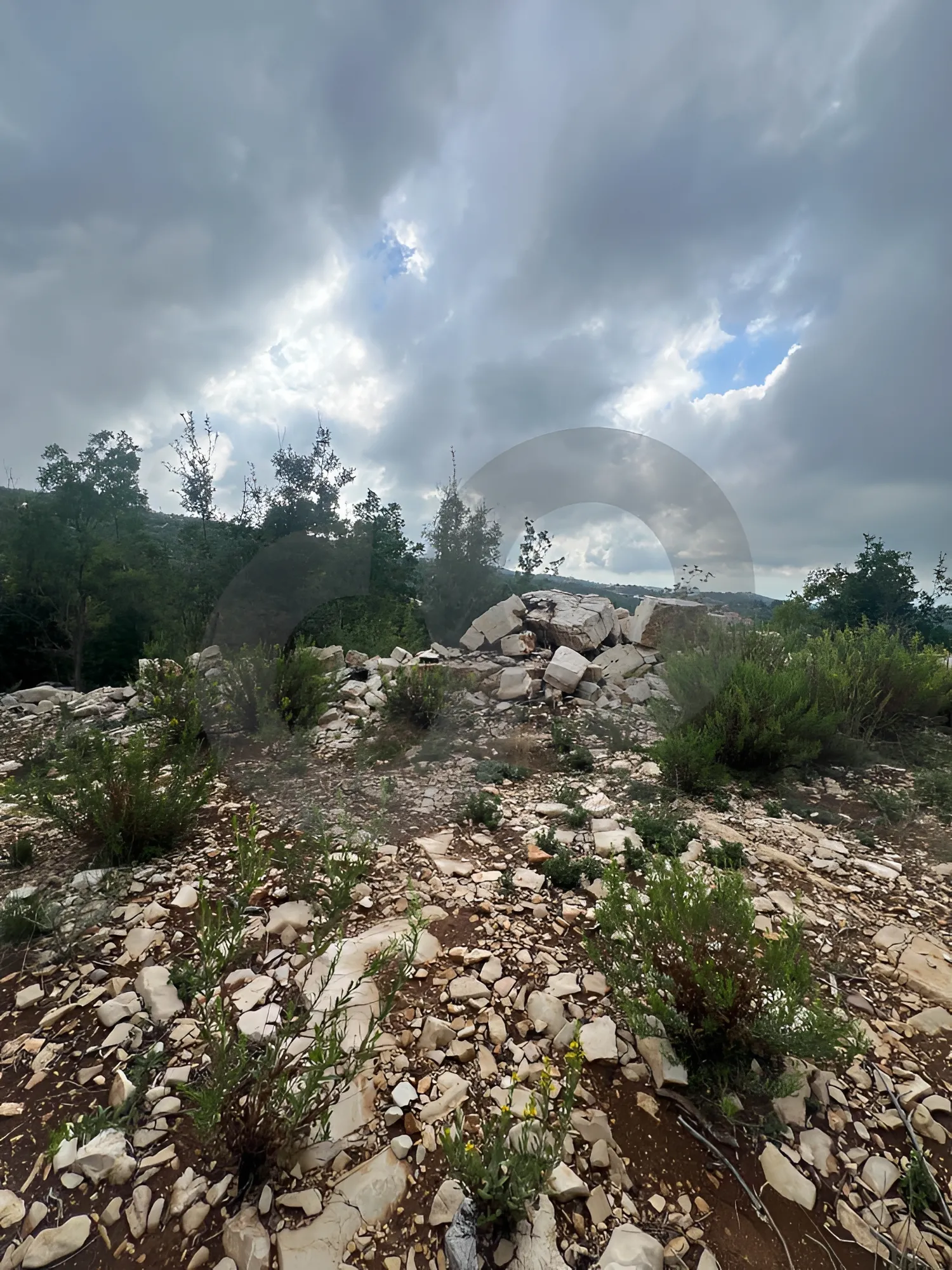 Land for Sale in Mechmech