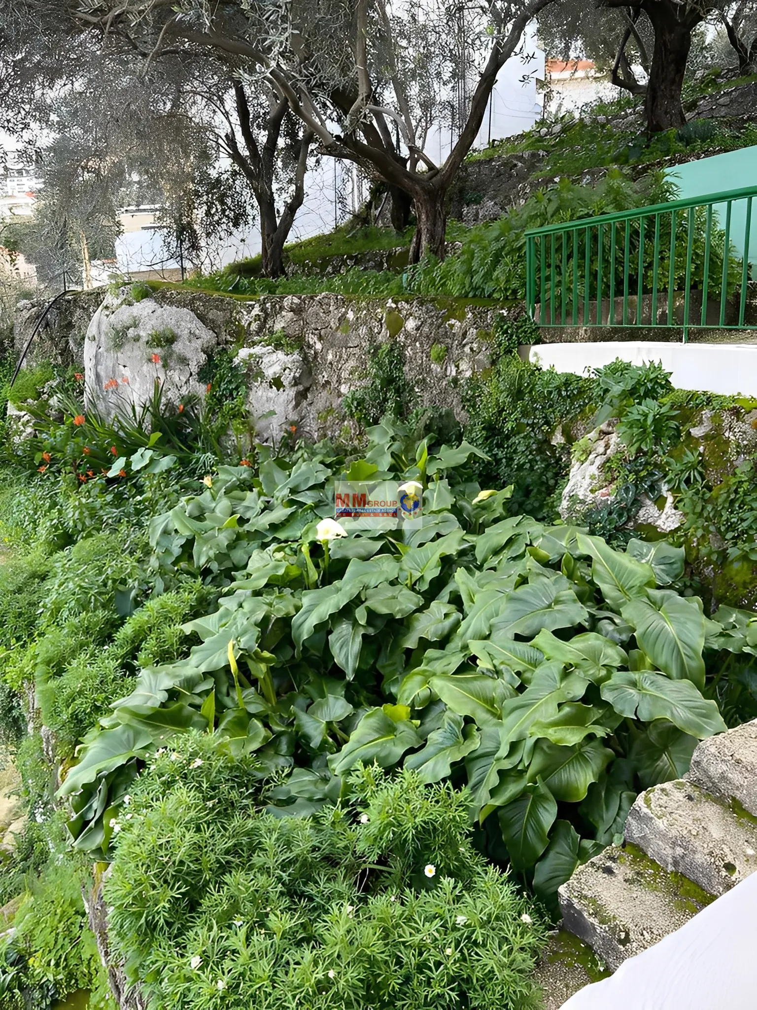 Land for Sale in Qornet El Hamra