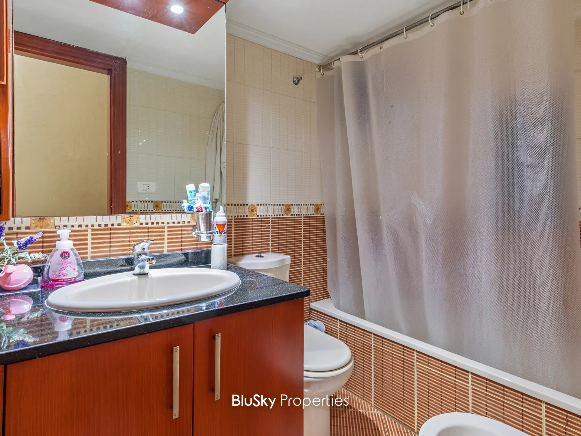 Apartment for Sale in Mansourieh