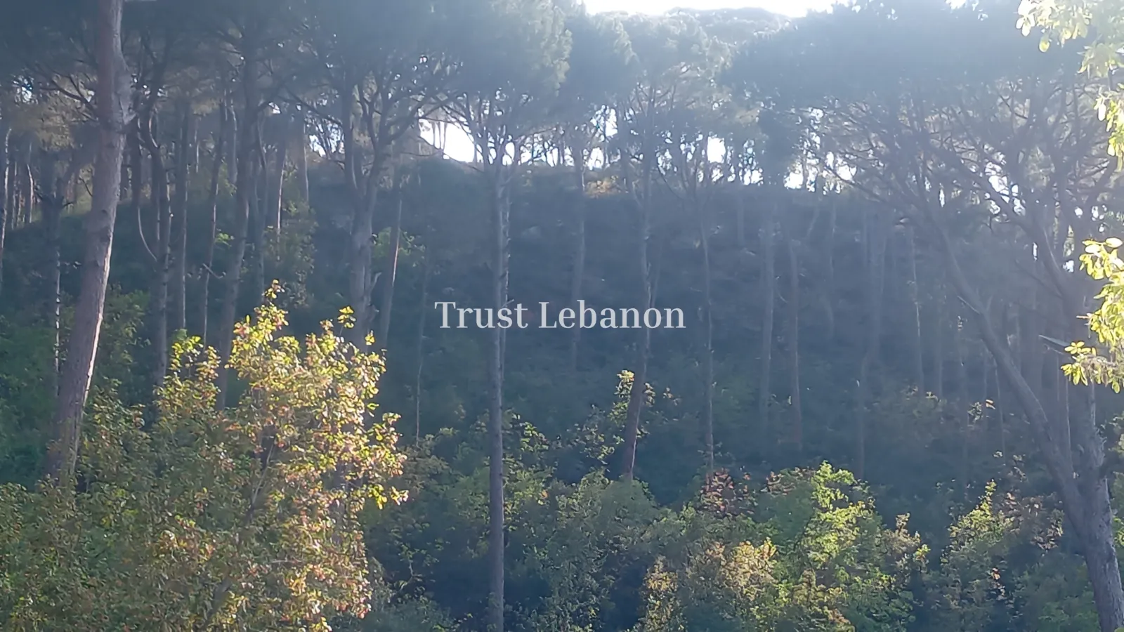 Residential Land for sale in Arsoun, Lebanon