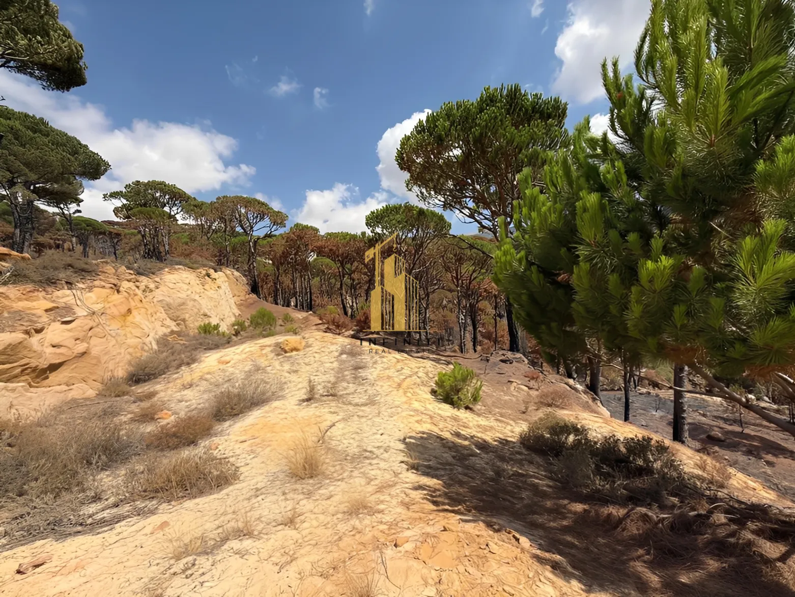 Land for Sale in Bmahray, Lebanon