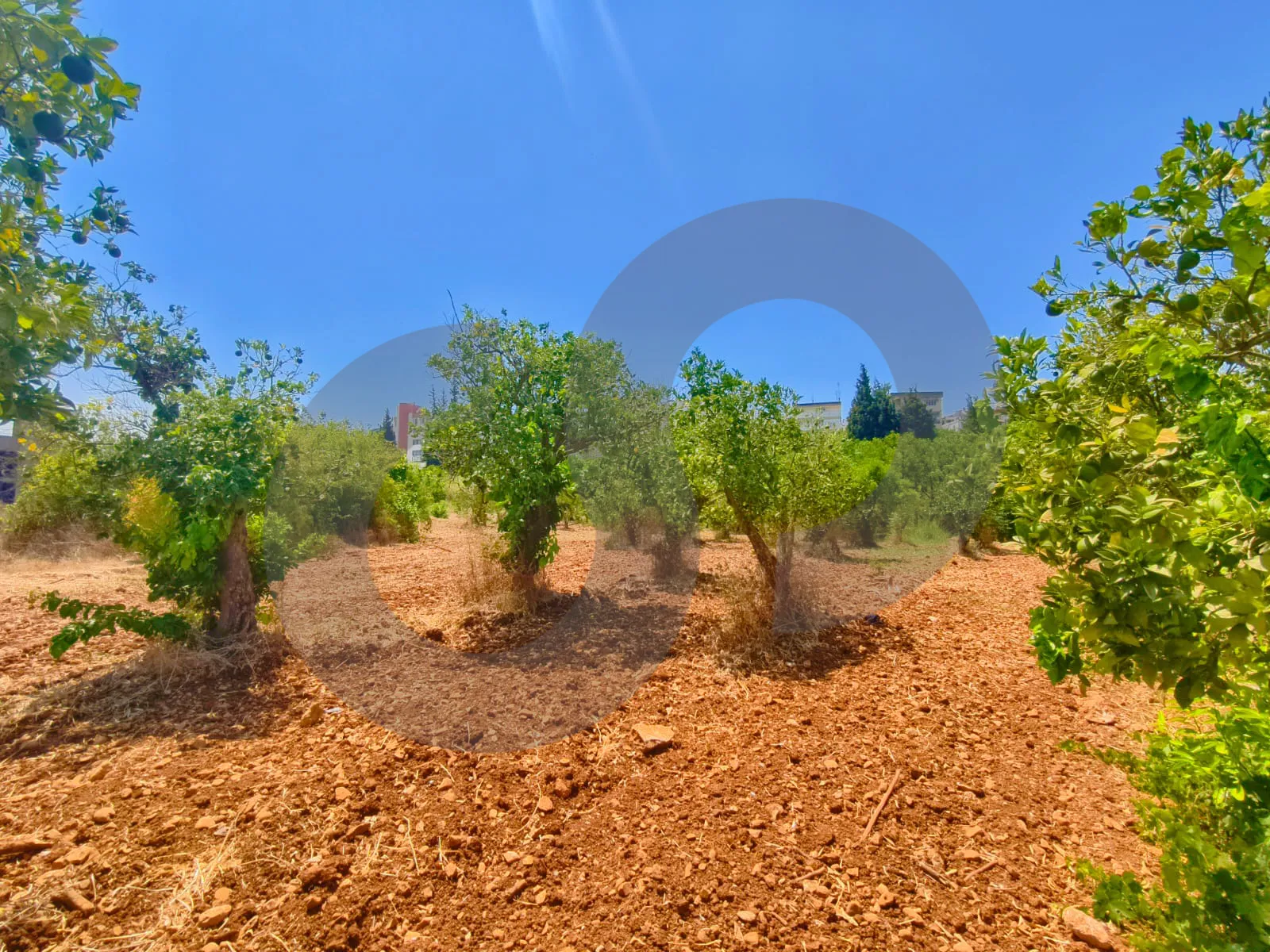 Land for Sale in Zgharta