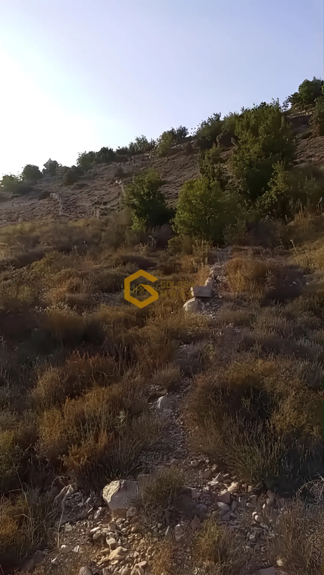 Land for Sale in Mechmech