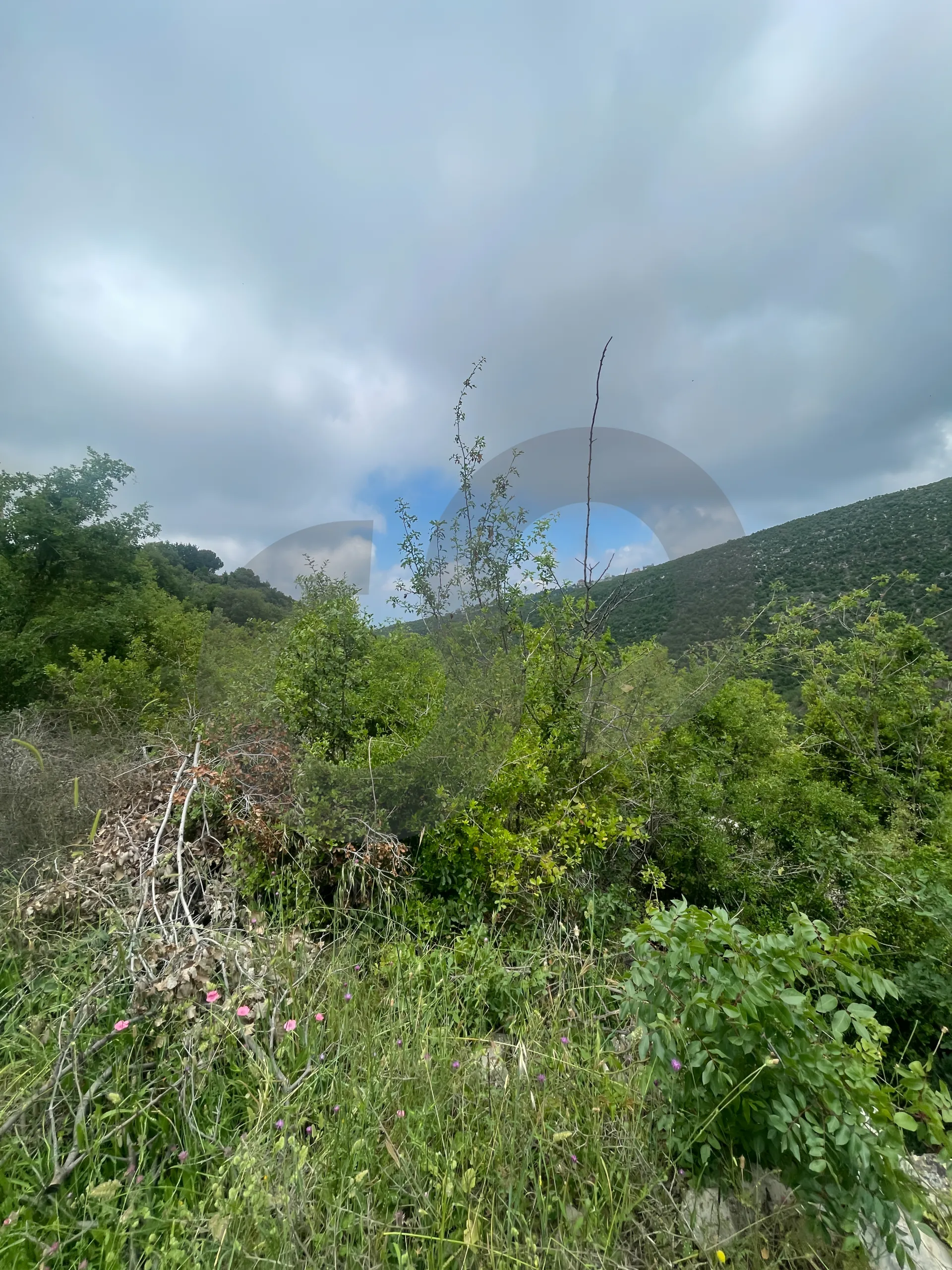 Land for Sale in Breij