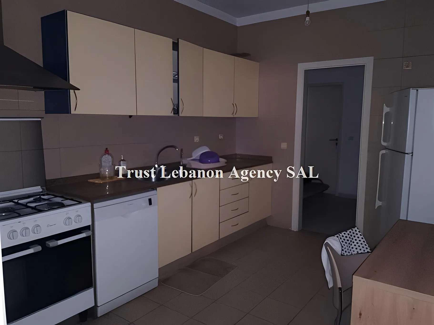 Apartment for Rent in Ashrafieh Beirut Lebanon
