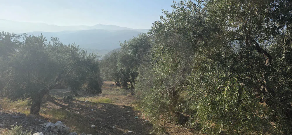 Land for Sale in Koura